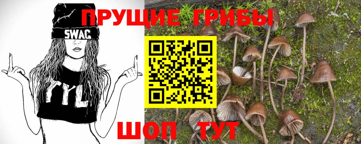 Галлюциногенные грибы Psilocybine cubensis  Вход с VPN  купить закладку  Галлюциногенные грибы Magic Shrooms  Ахтубинск 