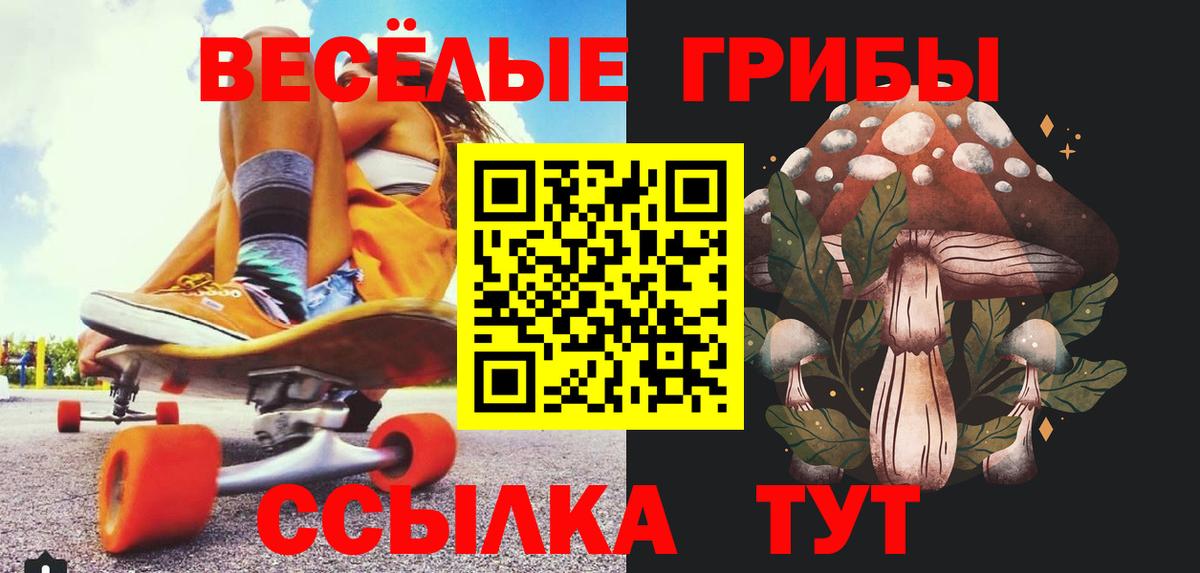 Псилоцибиновые грибы Psilocybe Ахтубинск
