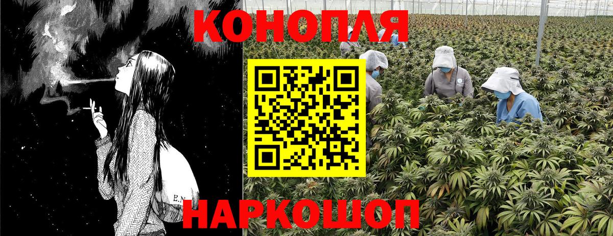 Каннабис конопля  Вход с VPN  Ахтубинск  Канабис конопля  Конопля сатива 
